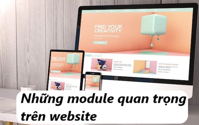 Những module trong website là gì?